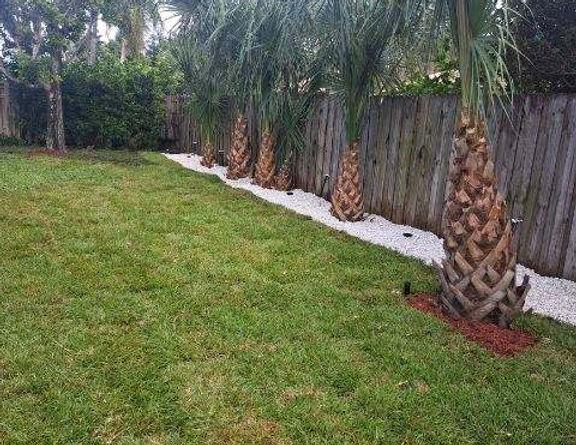 landscaped backyard with palm trees